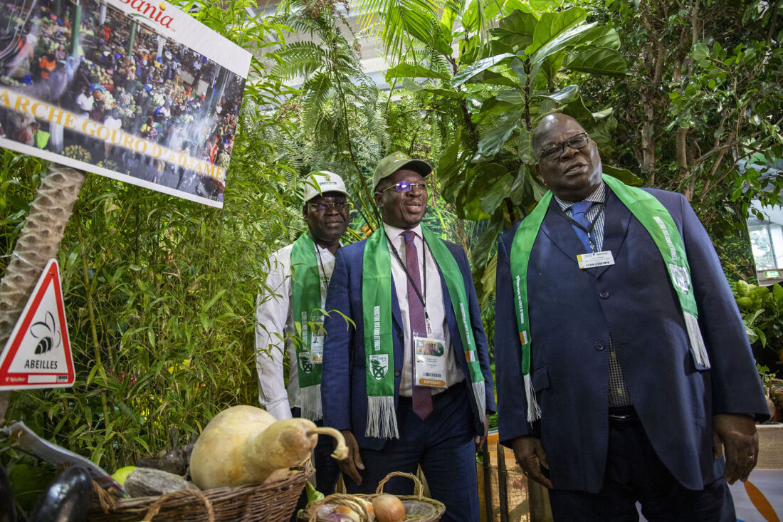 Campagne de reboisement